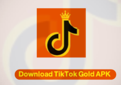 تحميل تيك توك الذهبي TikTok Gold v2.81 ابو عرب اخر اصدار للاندرويد 2025
